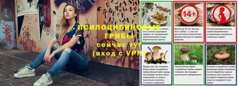 Галлюциногенные грибы MAGIC MUSHROOMS  Нариманов 